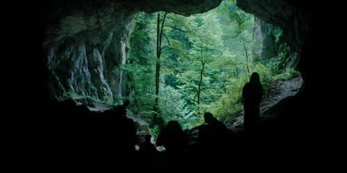 Imagine articol Berlinala 2026 03 Mihai Fulger Adevarul jpg