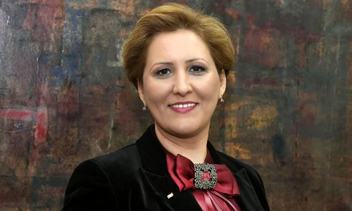 Dezbatere «Historia»: Istoria românilor, aproape necunoscută în străinătate  Ce se poate face? VIDEO jpeg