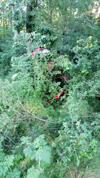 Un tânăr din Argeş a auns cu maşina pe care o conducea într-un pom
