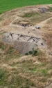 A treia săptămână a cercetărilor  în situl arheologic de la Glina-Bălăceanca (© Muzeul Municipiului București)