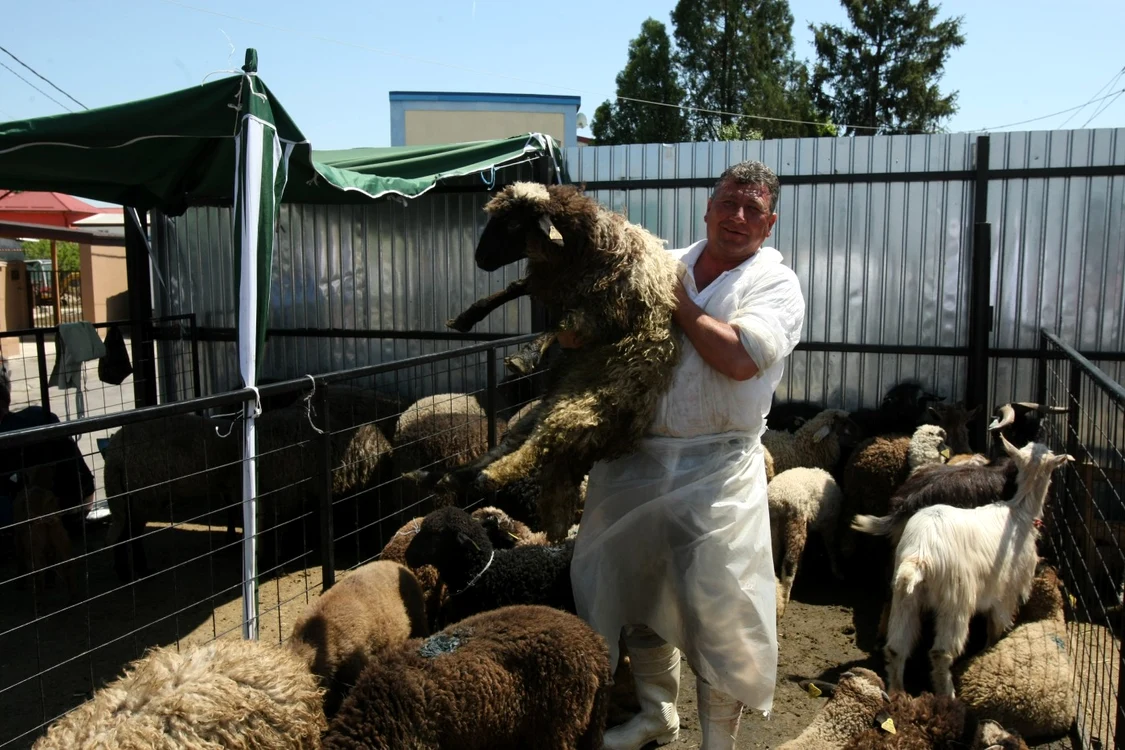 Comercianţii din Capitală au lăsat din preţ ca să atragă clienţii. FOTO: Marian Iliescu