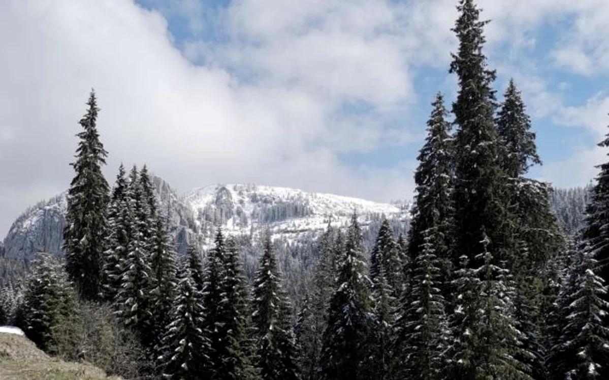 Masivul Bucegi