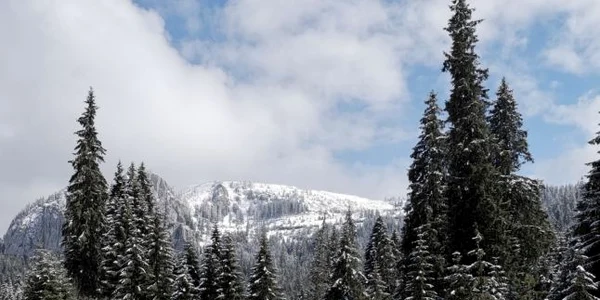 zapada bucegi