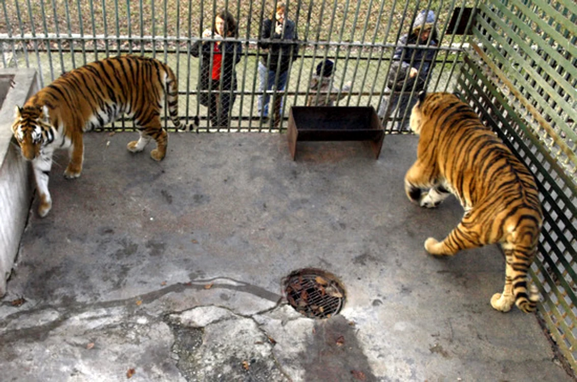 Zoo Hunedoara