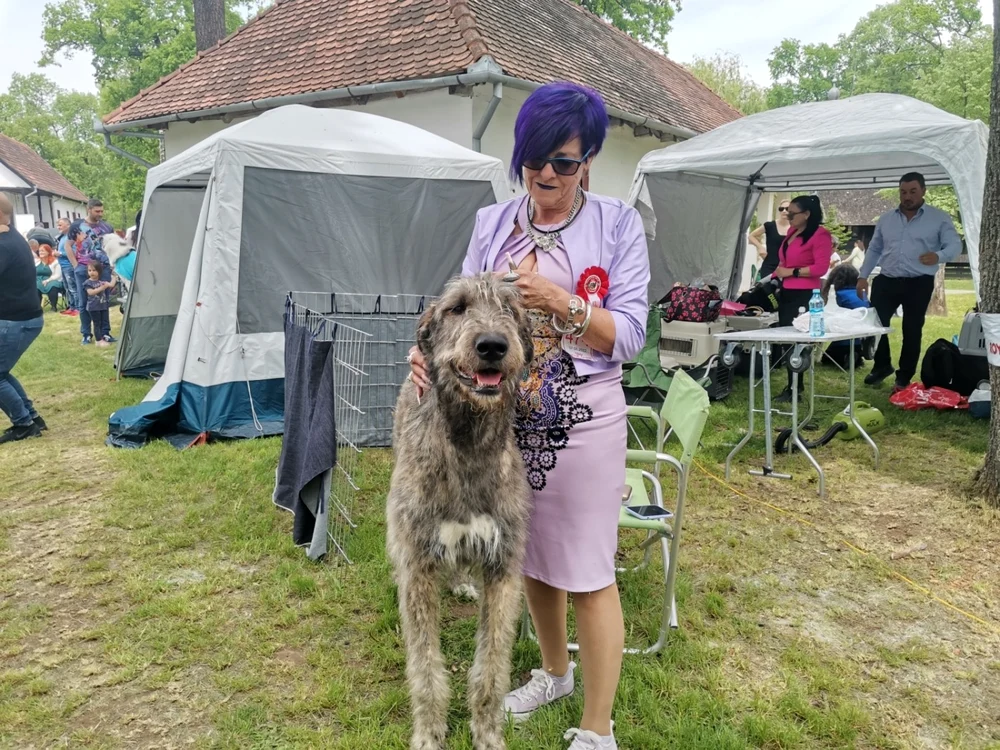 Expo canin Timişoara