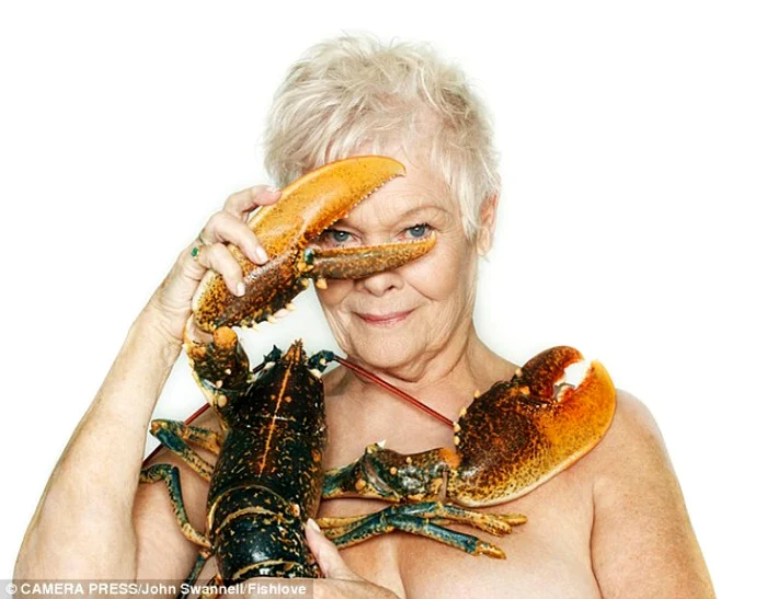 judi dench daily mail