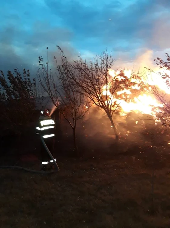 incendiu baloti furaje din rosiorii de vede foto isu teleorman