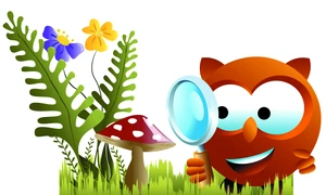 Lucerna   între Wagner şi Bourbaki jpeg