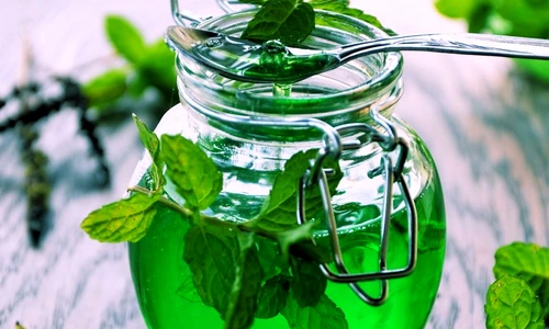 Probleme cu digestia  Jeleul de menta le combate  Sursa foto shutterstock 225612616 jpg