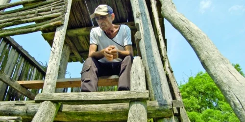 Semnătură falsificată pe sentinţa bătrânului din pădure