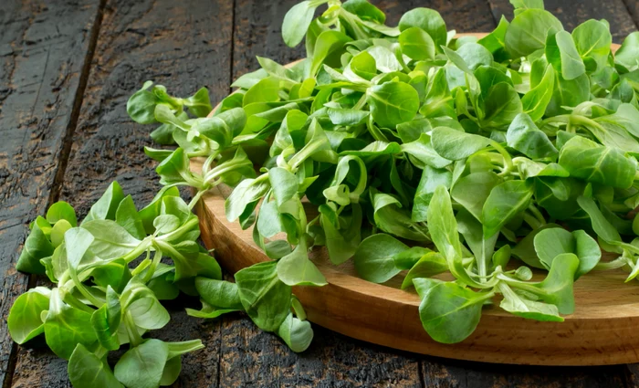 
    Mușețelul e bun și când te confrunți cu arsuri gastriceFoto: pixabay.com  