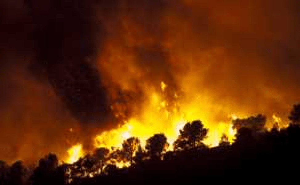 50 de persoane au fost evacuate din cauza unui incendiu forestier major din Franța