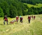 misiune de cautare. foto salvamont maramures