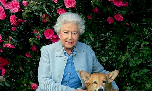 1 regina angliei jpg jpeg