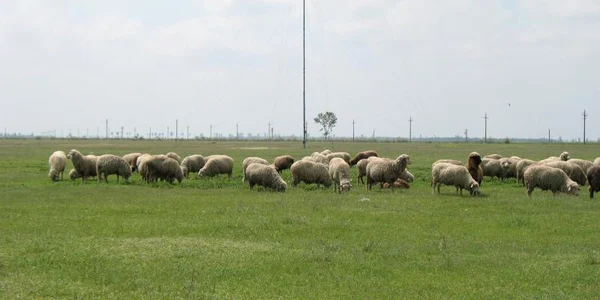 img 0789 jpg