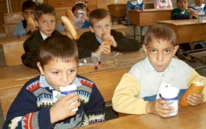 Braşov: ProdLacta „achitată“ în scandalul toxiinfecţiilor
