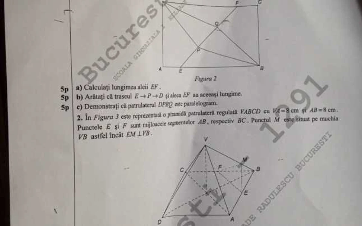subiecte simulare mate capacitate