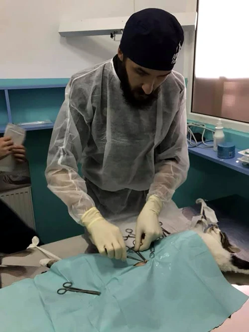 Şi berzele au parte de îngrijire