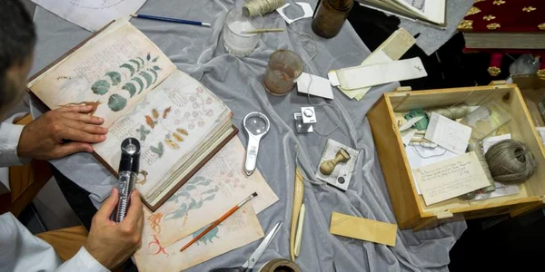 Manuscrisul lui Voynich FOTO AFP