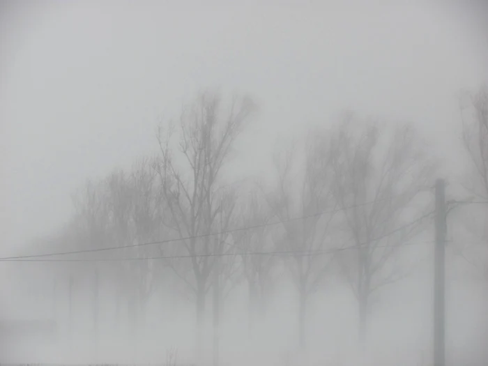 Vântul va depăşi viteza de 70 de kilometri la oră. FOTO: AEVĂRUL