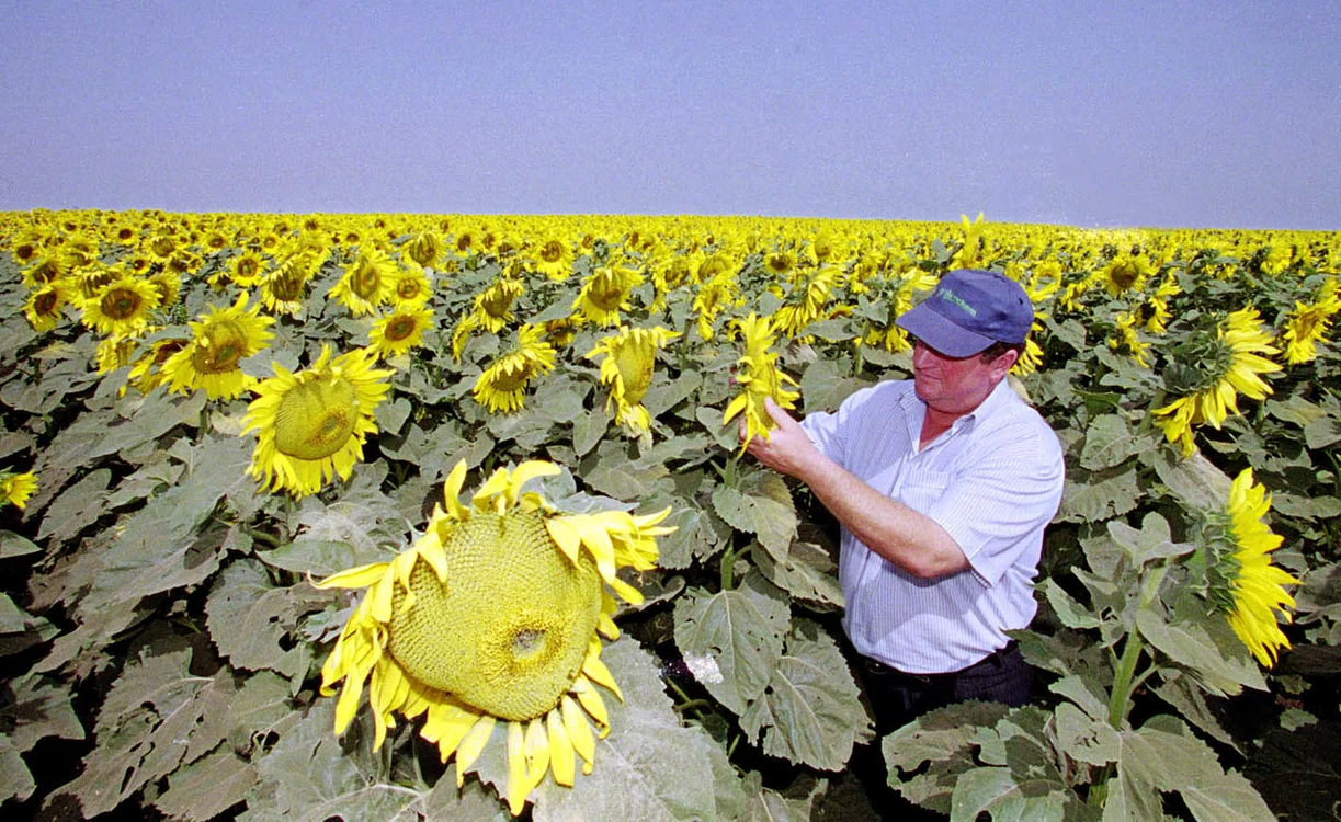 A cauzat un prejudiciu de 230.000 lei FOTO Arhivă Adevărul