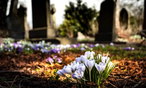 cimitir jpg