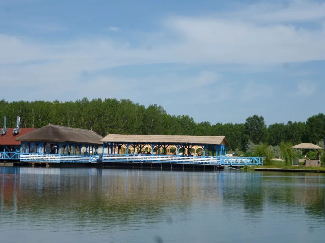 delta siretului