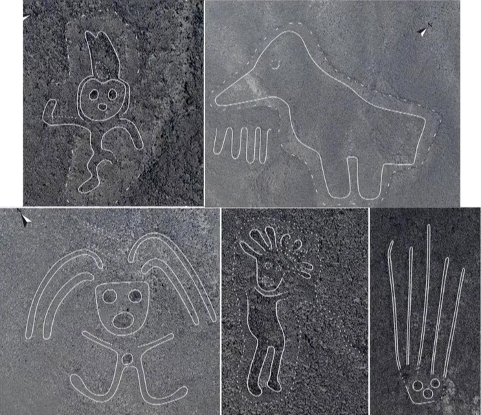 Foto: Yamagata University