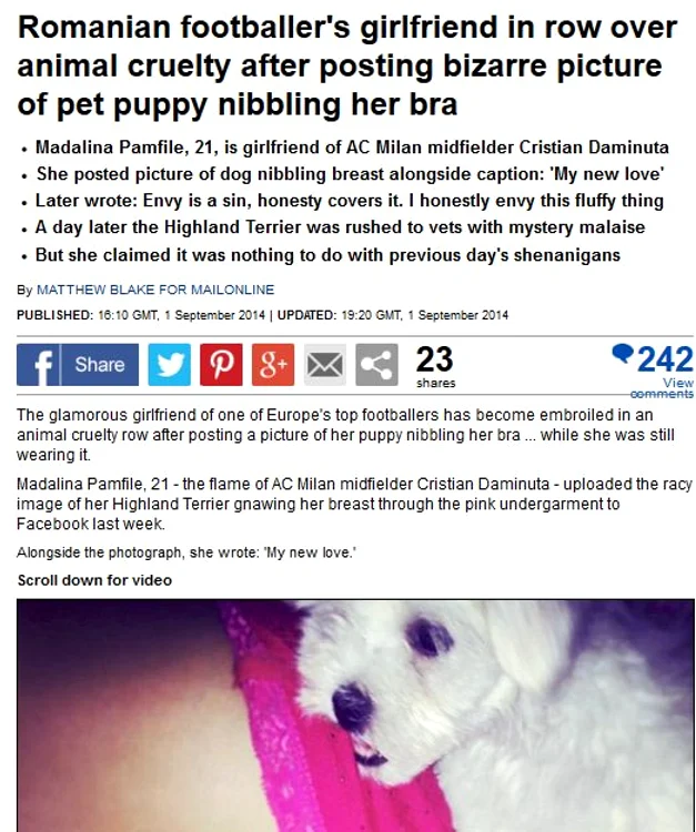 Jurnaliştii de la Daily Mail cred că Pamfile a greşit când a lăsat câinele să o muşte de sutien