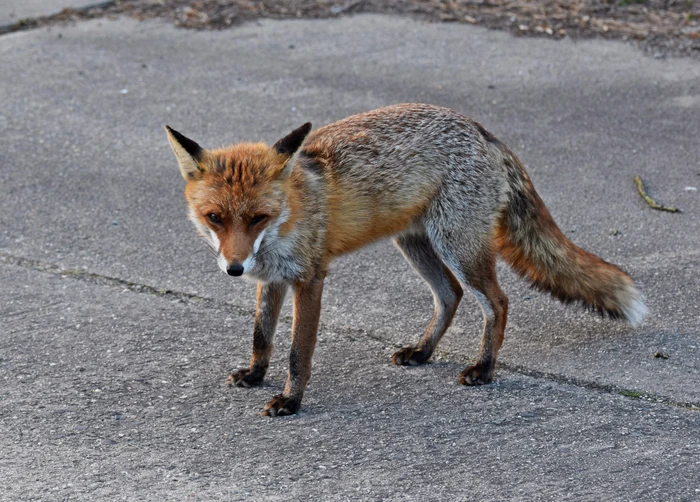 
    foto: Shutterstock.com  