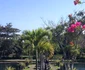 11855612 10207067746638264 6243709604023093771 n jpeg