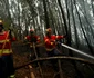 Urmările incendiului forestier din zona Leiria Portugalia FOTO Guliver / Getty Images / Pablo Blazquez Dominguez