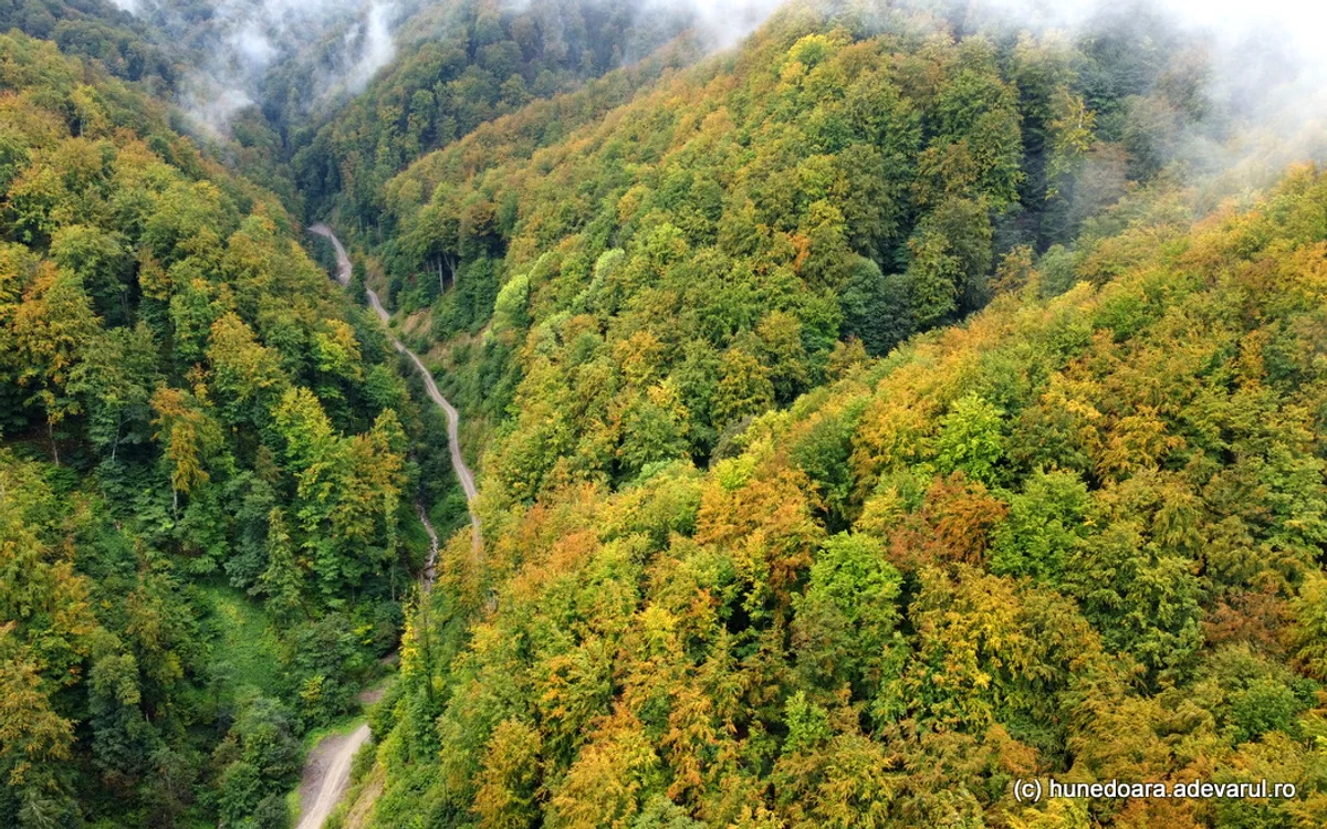 Zona unde au fost mine de uraniu. Foto: Daniel Guță