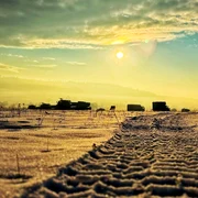 Dynamic Front  FOTO MAPN jpg