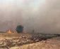 Incendiu vegetaţie 1. Foto ISU
