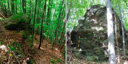 caprareata foto m ciuta  volumul Combaterea traficului cu bunuri culturale  recuperarea trecutului