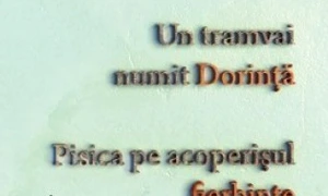 Tennessee Williams, Muzica astrelor, o carte dintre cele prea rare jpeg