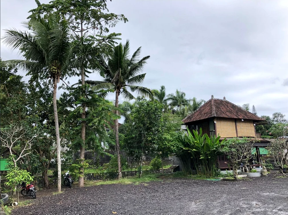 
    Alertă de tsunami lângă insula Bali, în urma unui puternic cutremur Foto: Twitter   