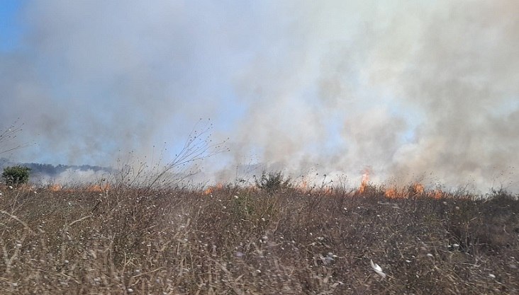 Incendiu devastator la stațiunea Olimp, trenurile au fost oprite Incendiu devastator la stațiunea Olimp, trenurile au fost oprite