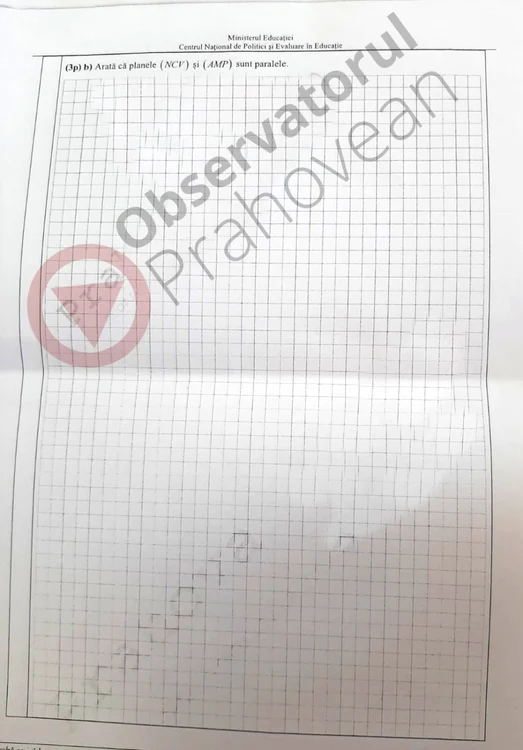 Subiecte Evaluare Naţionala 