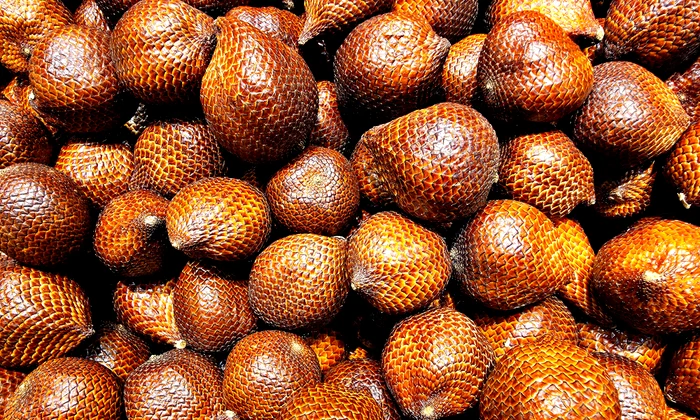 pexels hartonosbg 38953036 jpg