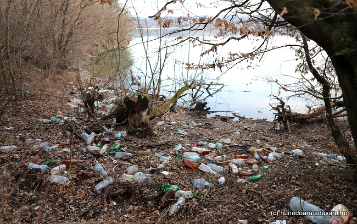 lacul cincis gunoaie foto daniel guta adevarul