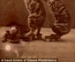 historia ro undefined jpeg