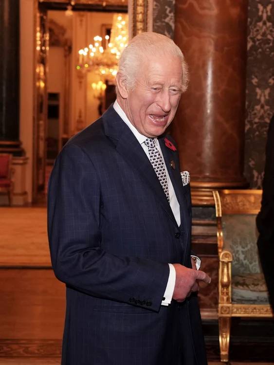 regele charles gettyimages jpg