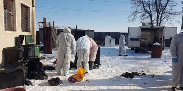 A lăsat câinii din adăpost să moară de foame şi de sete FOTO Asociaţia Depind de Noi