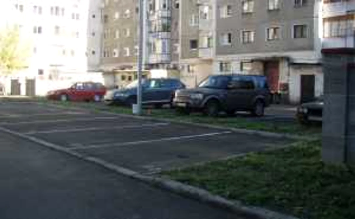 Curățenie de toamnă