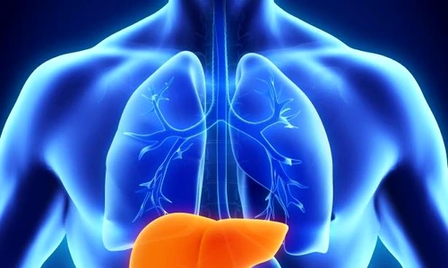 1 boli cu transmitere prin sange jpg jpeg