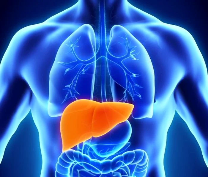 1 boli cu transmitere prin sange jpg jpeg