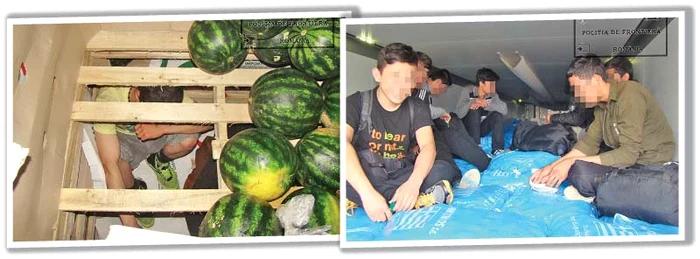 Şapte afgani au vrut să intre în România ascunşi printre pepeniFoto: politia de frontiera