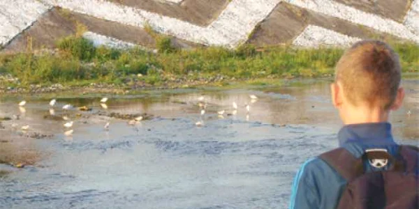 Stoluri de egrete şi raţe  au poposit pe Olăneşti